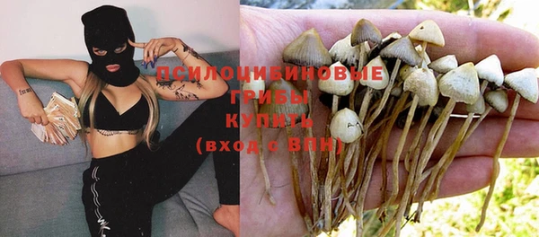 герыч Алзамай