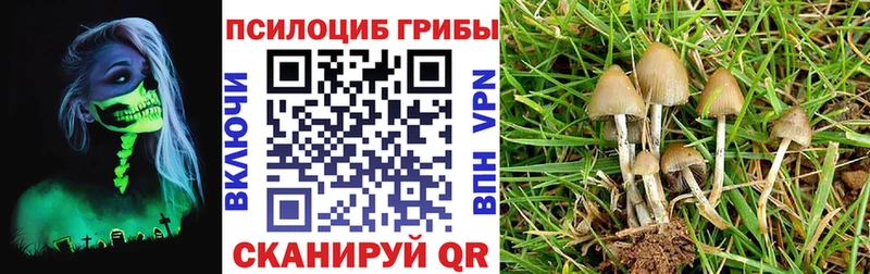 Псилоцибиновые грибы Cubensis  купить наркоту  Алупка 